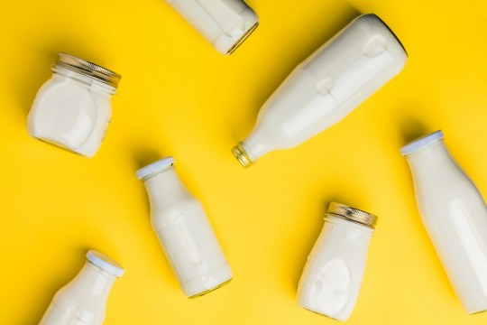 Молочные продукты: необходимы ли они в рационе спортсменов?