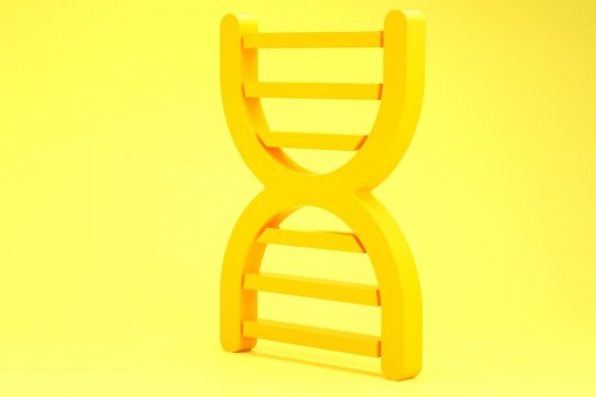 Генетический потолок роста мышц: миф, которым оправдываются, или суровая реальность?